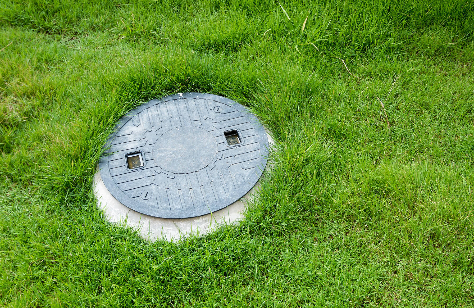 Septic tank cover in grass