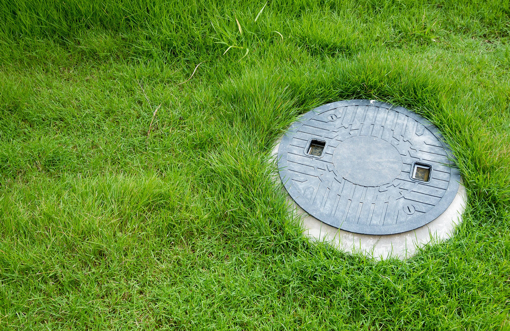 Septic tank cover in grass